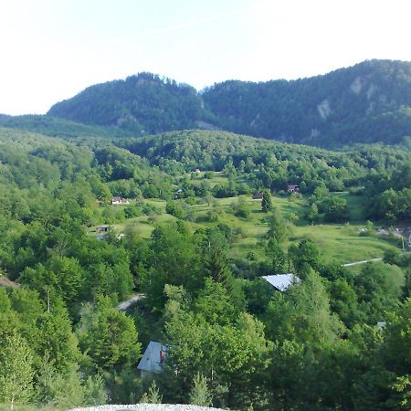 Pensiunea Dolvas Padis Extérieur photo