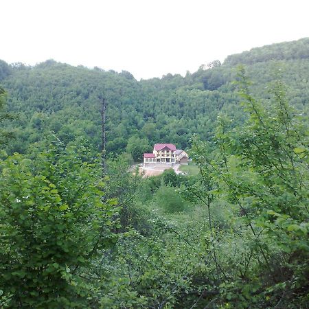 Pensiunea Dolvas Padis Extérieur photo