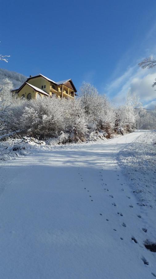 Pensiunea Dolvas Padis Extérieur photo
