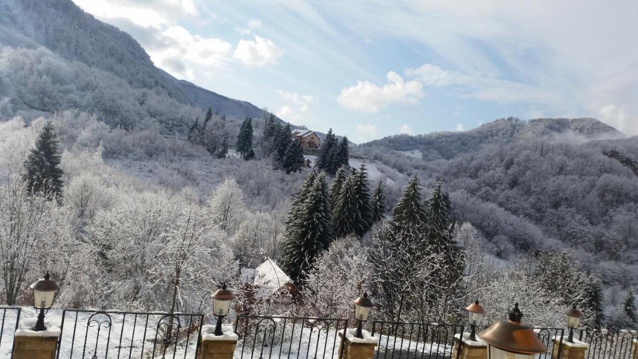 Pensiunea Dolvas Padis Extérieur photo