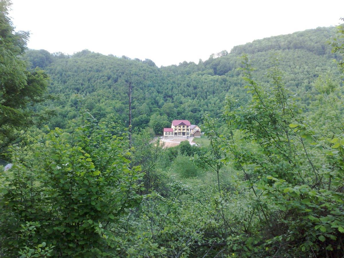 Pensiunea Dolvas Padis Extérieur photo