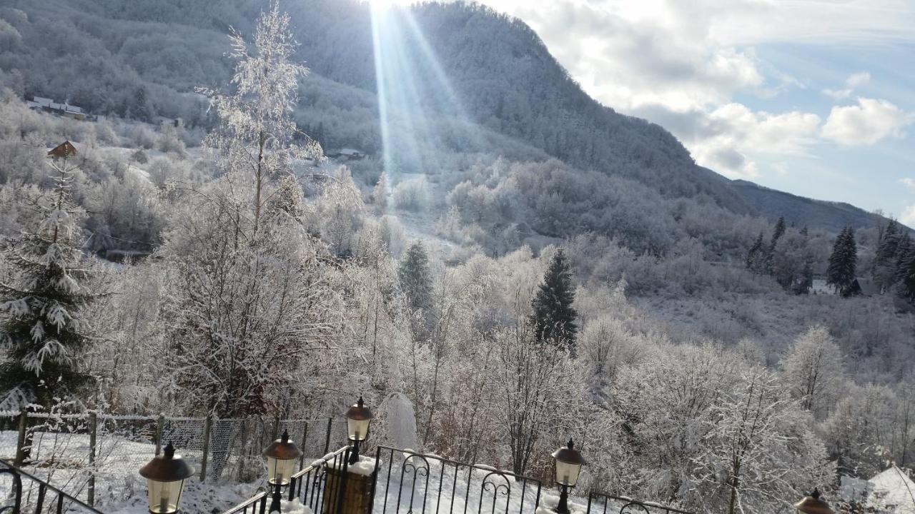 Pensiunea Dolvas Padis Extérieur photo