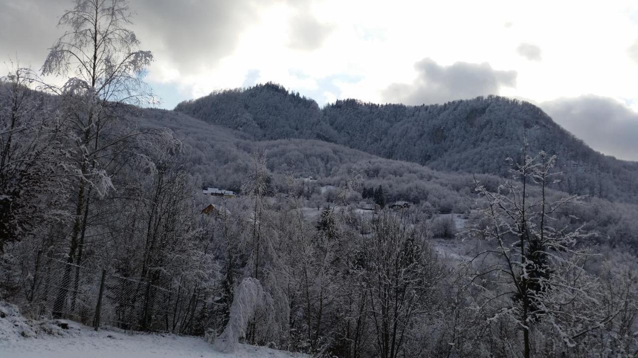 Pensiunea Dolvas Padis Extérieur photo